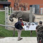 Látogatás a győri állatkertben